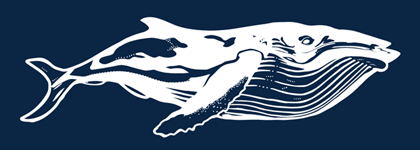 Ocean Film Festival World Tour 2026