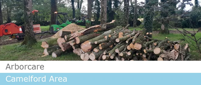 Arborcare Tree Services