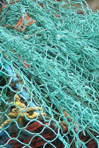 Fishing Nets at St. Agnes